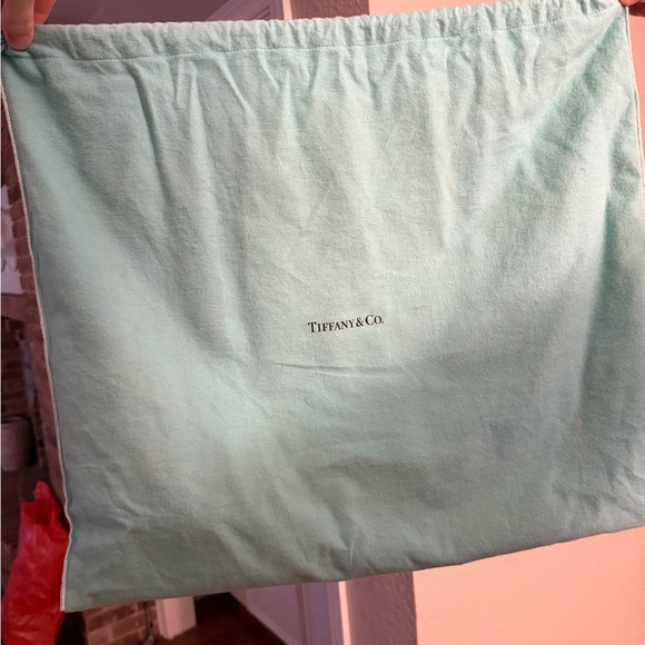 Tiffany & Co. Tote Bag in Aqua and Beige - Picture 10 of 10